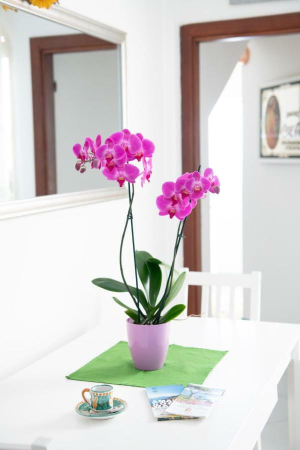 Blue Line House Positano Apartman Kültér fotó